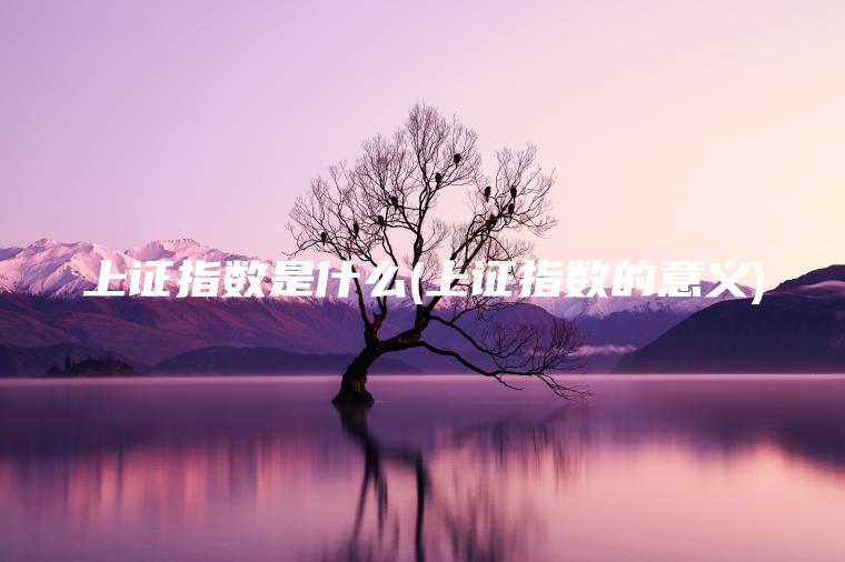 上证指数是什么(上证指数的意义)