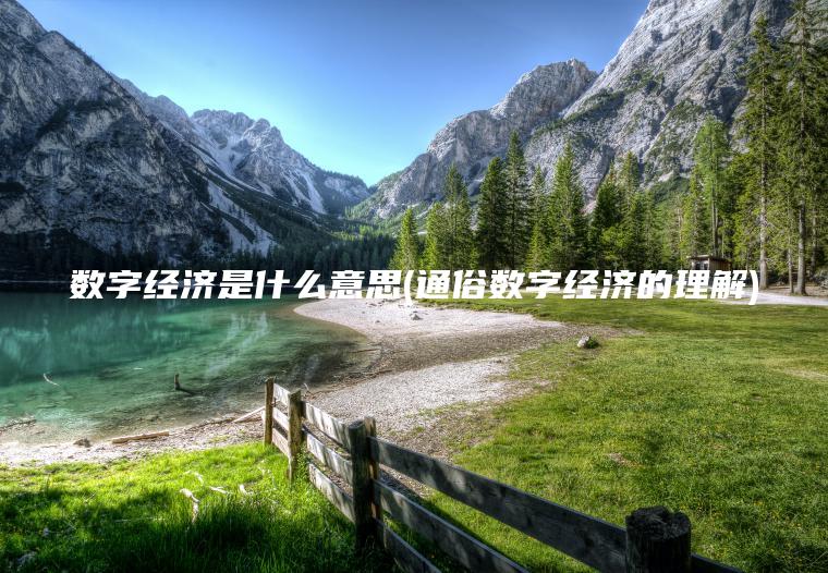 数字经济是什么意思(通俗数字经济的理解)