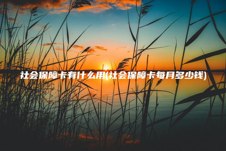 社会保障卡有什么用(社会保障卡每月多少钱)