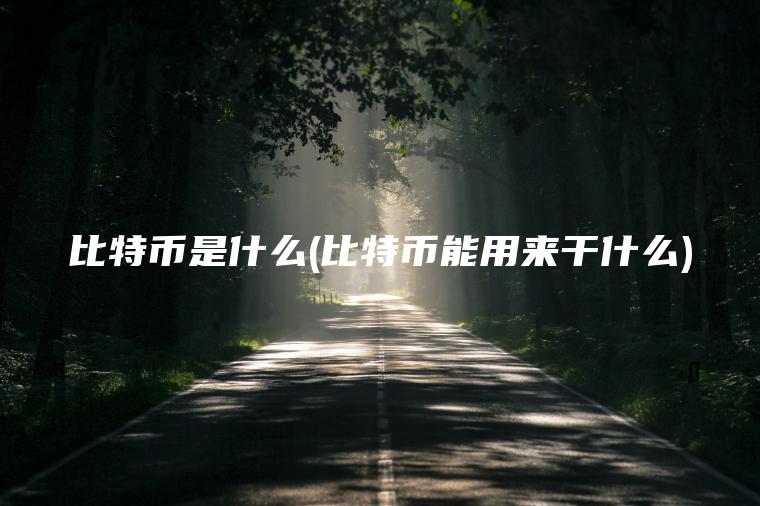 比特币是什么(比特币能用来干什么)