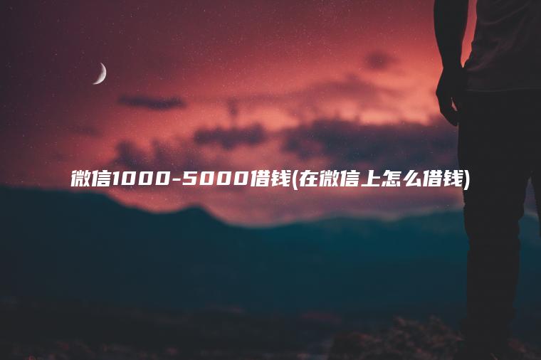 微信1000-5000借钱(在微信上怎么借钱)