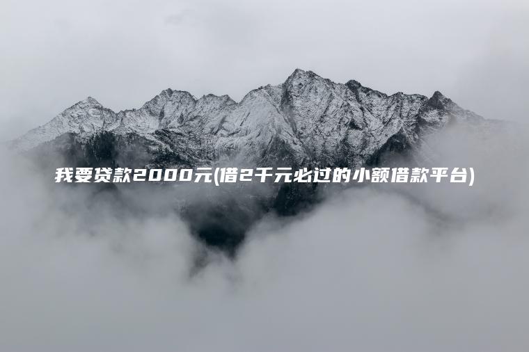 我要贷款2000元(借2千元必过的小额借款平台)