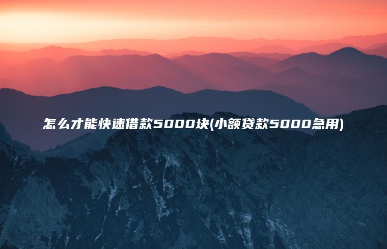 怎么才能快速借款5000块(小额贷款5000急用)