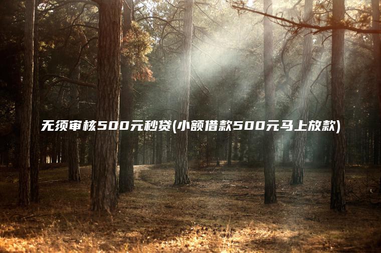 无须审核500元秒贷(小额借款500元马上放款)