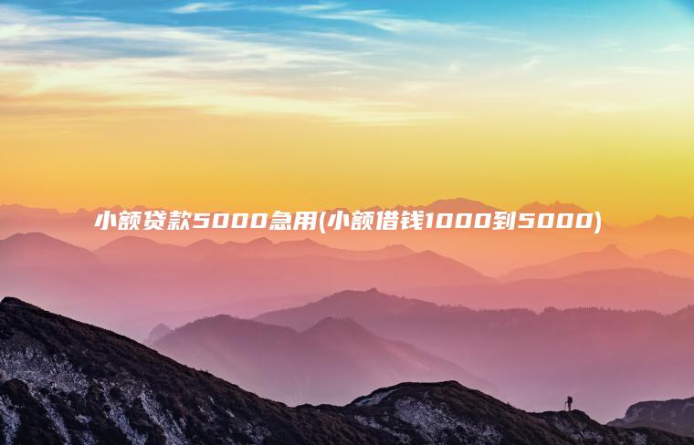 小额贷款5000急用(小额借钱1000到5000)