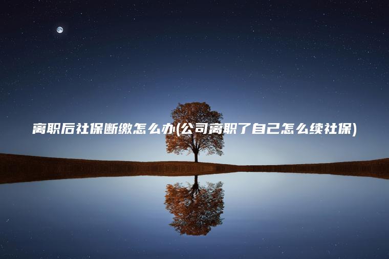 离职后社保断缴怎么办(公司离职了自己怎么续社保)