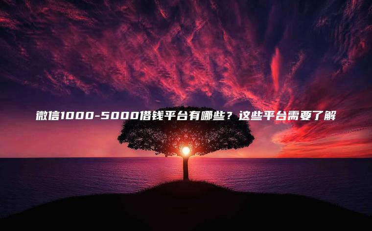 微信1000-5000借钱平台有哪些？这些平台需要了解