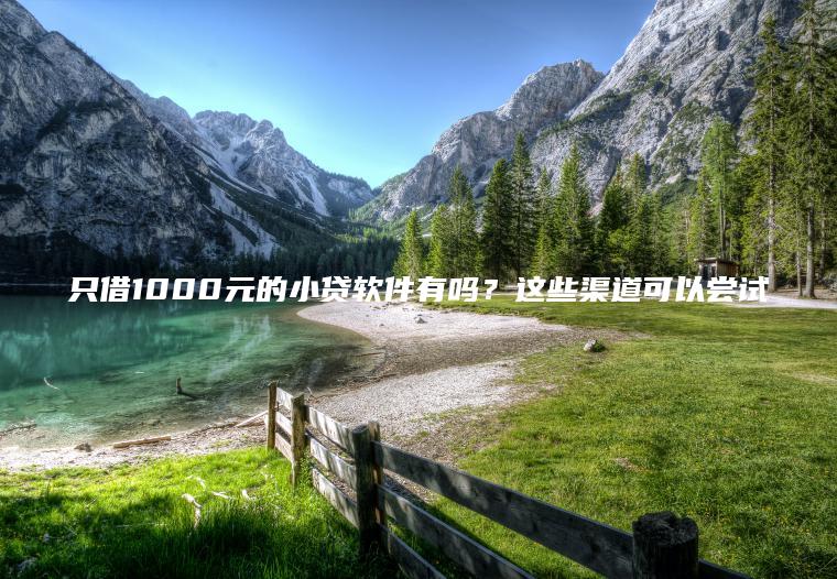 只借1000元的小贷软件有吗？这些渠道可以尝试