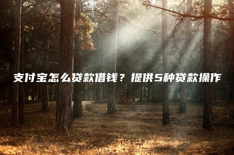 支付宝怎么贷款借钱？提供5种贷款操作