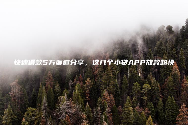 快速借款5万渠道分享，这几个小贷APP放款超快