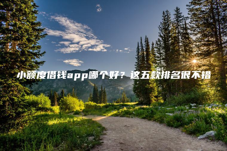 小额度借钱app哪个好？这五款排名很不错