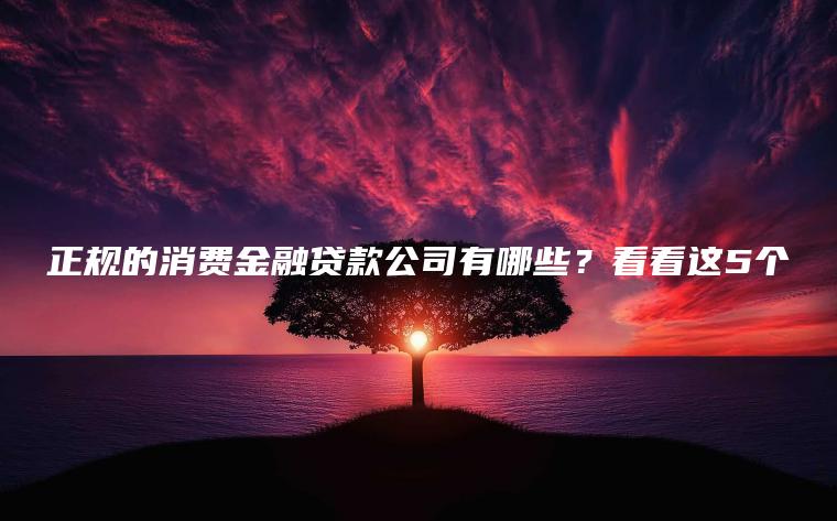 正规的消费金融贷款公司有哪些？看看这5个