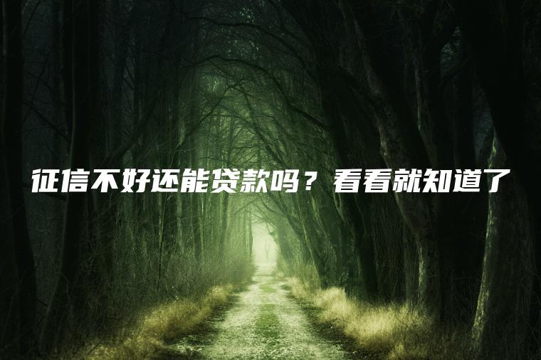 征信不好还能贷款吗？看看就知道了