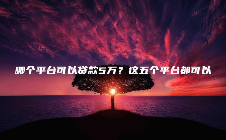 哪个平台可以贷款5万？这五个平台都可以