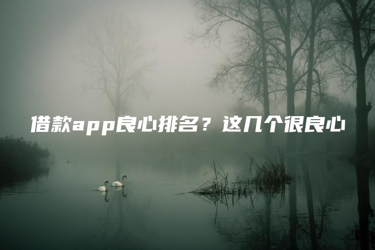 借款app良心排名？这几个很良心