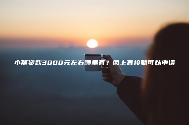 小额贷款3000元左右哪里有？网上直接就可以申请