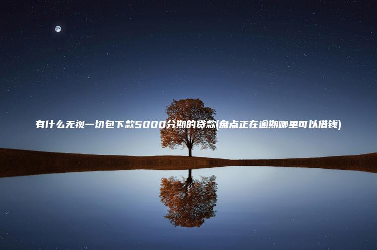 有什么无视一切包下款5000分期的贷款(盘点正在逾期哪里可以借钱)