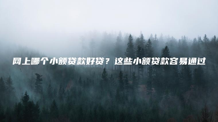 网上哪个小额贷款好贷？这些小额贷款容易通过