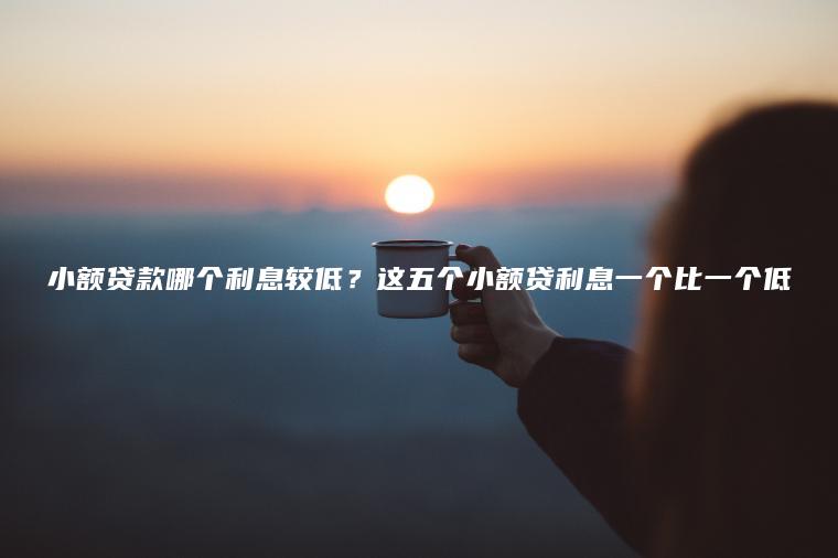 小额贷款哪个利息较低？这五个小额贷利息一个比一个低