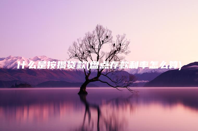 什么是按揭贷款(盘点存款利率怎么算)