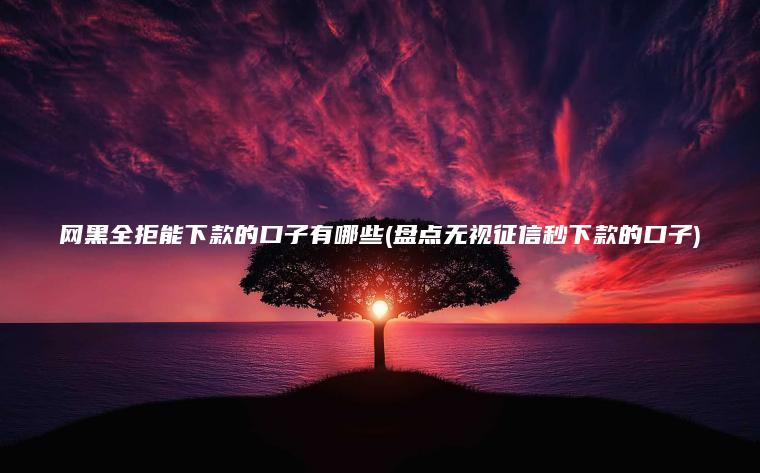 网黑全拒能下款的口子有哪些(盘点无视征信秒下款的口子)