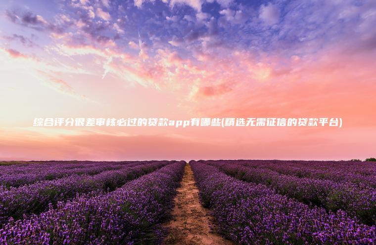 综合评分很差审核必过的贷款app有哪些(精选无需征信的贷款平台)