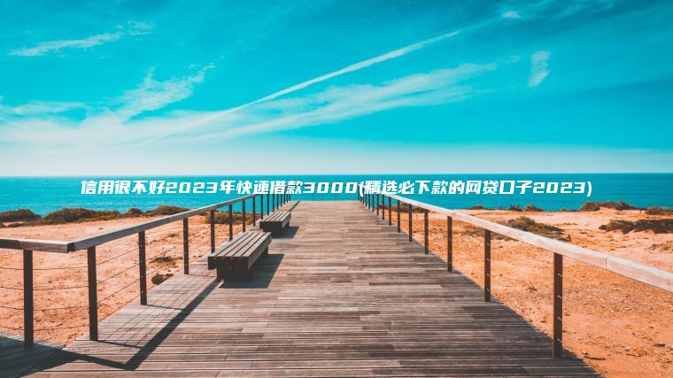 信用很不好2023年快速借款3000(精选必下款的网贷口子2023)