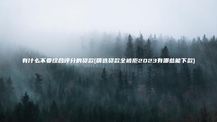 有什么不要综合评分的贷款(精选贷款全被拒2023有哪些能下款)