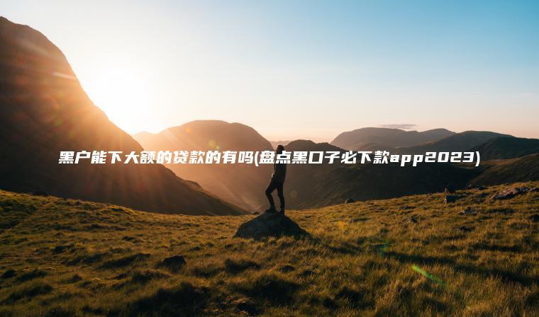 黑户能下大额的贷款的有吗(盘点黑口子必下款app2023)