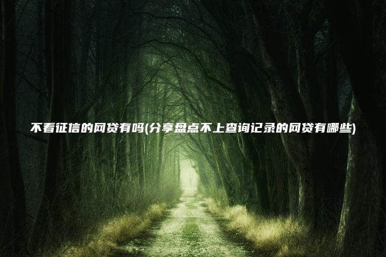 不看征信的网贷有吗(分享盘点不上查询记录的网贷有哪些)