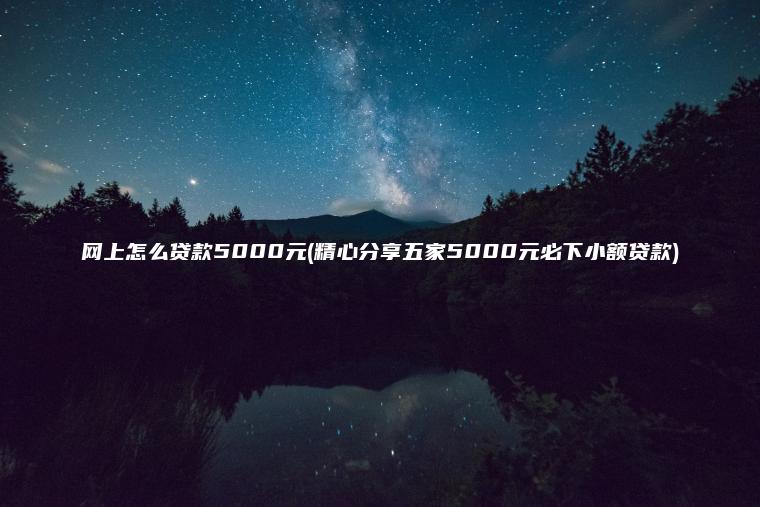 网上怎么贷款5000元(精心分享五家5000元必下小额贷款)