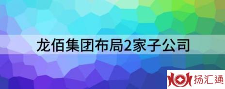 龙佰集团是国企还是私企（龙佰集团布局2家子公司）-1