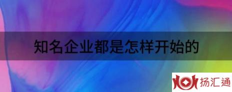 知名企业都是怎样开始的（解析世界著名的企业是怎么一步步做起来的）-1