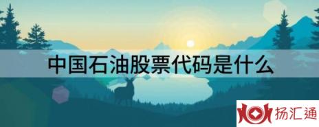 中国石油股票代码是什么（给予中国石油买入评级）-1