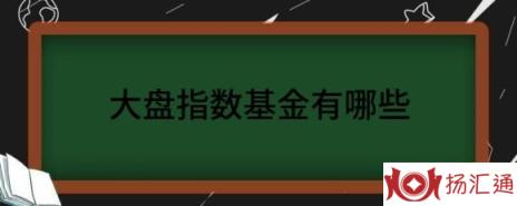 大盘指数基金有哪些（解读有哪些大盘价值基金呢）-1