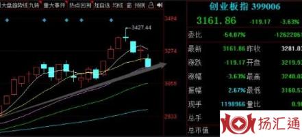 创业板新股-1