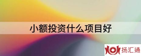 小额投资什么项目好（）-1